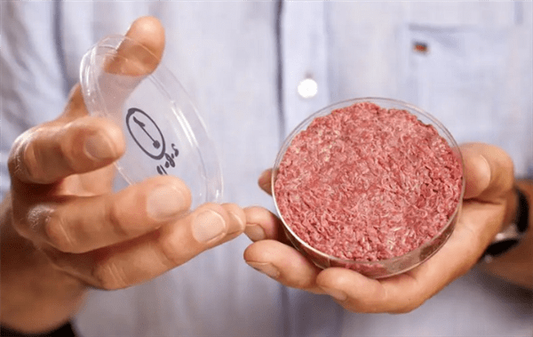 人造肉对气候影响可能是普通牛肉25倍 